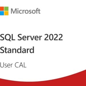 SQL Server 2022 1 User CAL