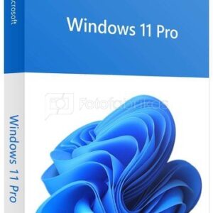 Win 11 Pro 64Bit Eng Intl 1pk DSP OEI DVD