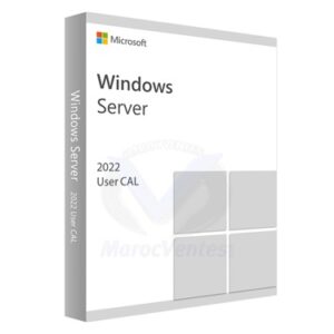 Windows Server CAL 2022 French 1pk DSP OEI 5 Clt Device CAL